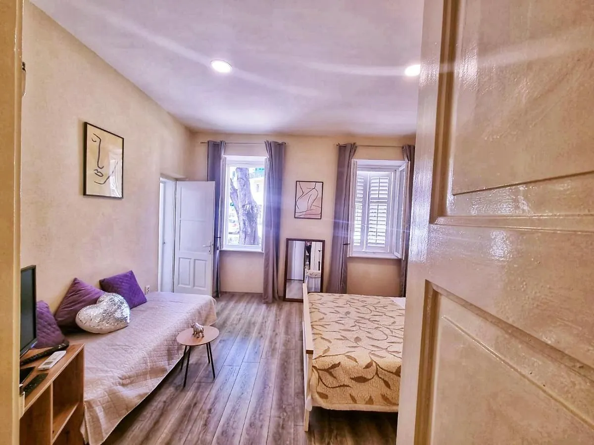 Dalmatian Apartment In The City Center Σπλιτ Κροατία
